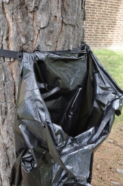 tree_bag_twostrapes